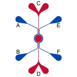 IMN2-pillars-schematic