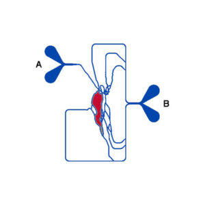 SMN2-C001-schematic