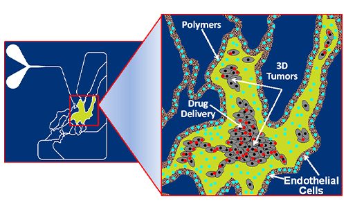 tumor-microenvironment-500