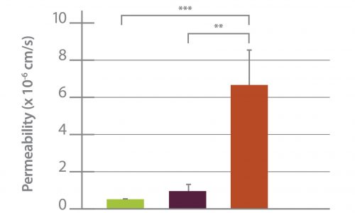 BBB-permeability