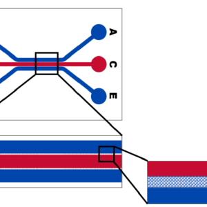 linear schematic-pores