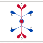 Radial chip model purchase