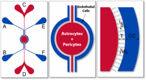 Synbbb radial chip schematic no title
