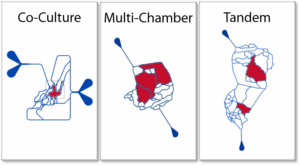 SynTumor Microvascular Chip Schematics