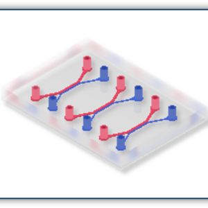 3 plex teer chip product table image