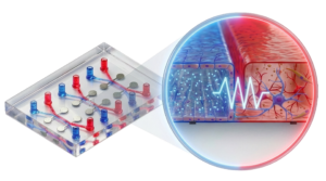 Teer v2.2 print transparent