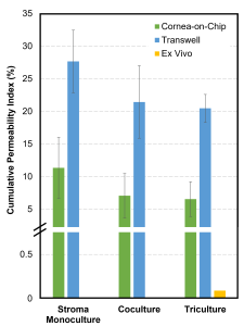 Cornea in vivo graph