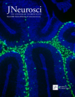 Jove jneuroscience cover