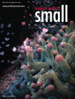 Nano Micro Small_Cover