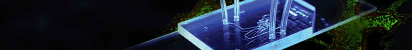 Our science banner web