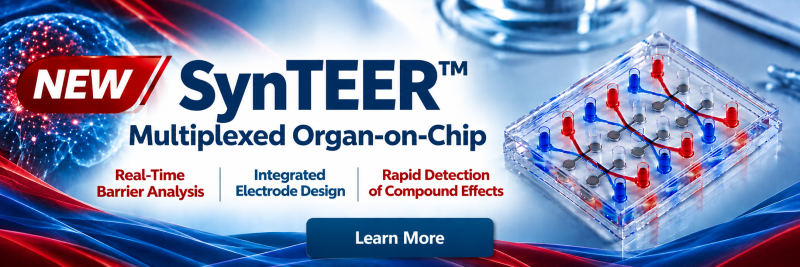Synteer banner homepage