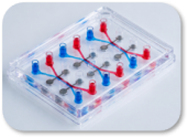 SynTEER chip with embedded electrodes