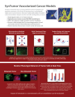 SynTumor 3D Cancer Model Brochure