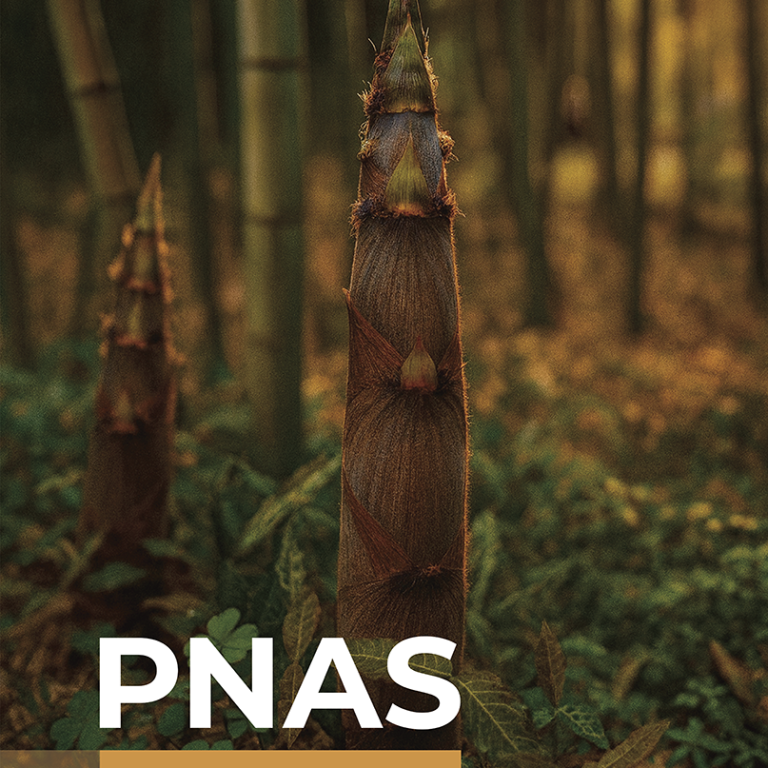 Pnas